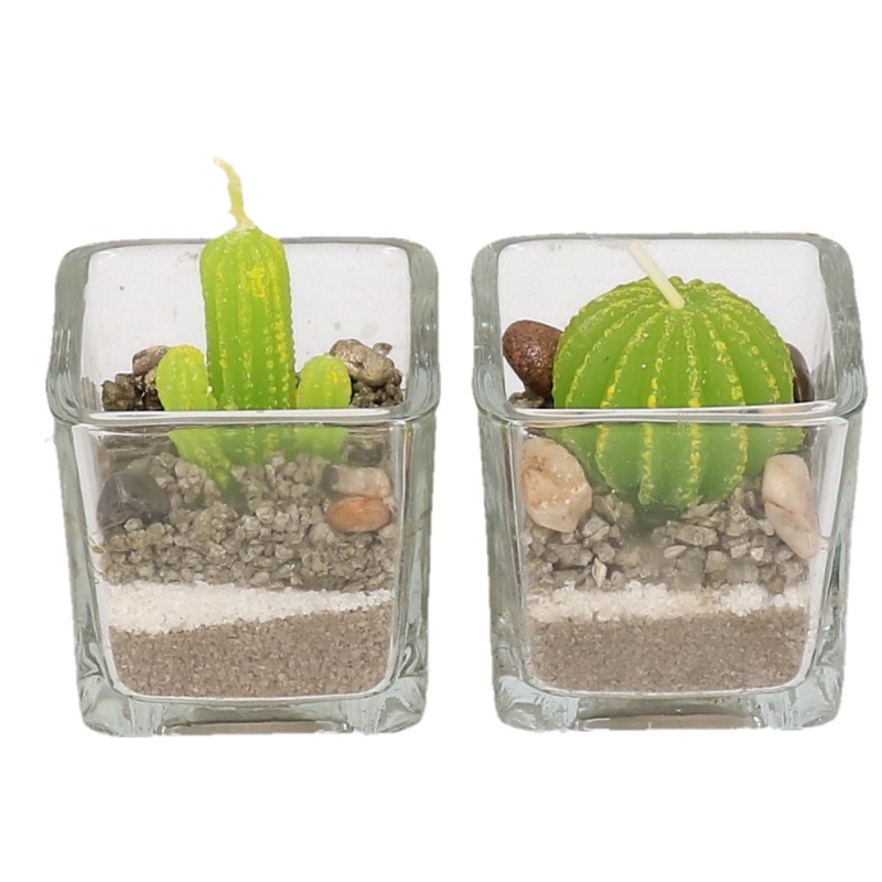 2x Cactus kaarsjes in glas 5 cm