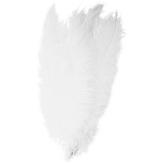 Grote veer-struisvogelveren wit 50 cm verkleed accessoire