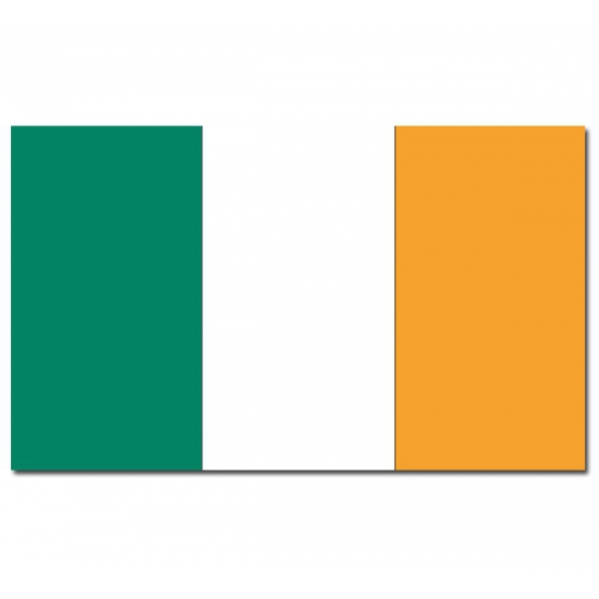 Vlag Ierland 90 x 150 cm feestartikelen