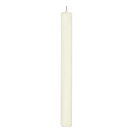 10x Ivory white dining candles 25 cm 14 hours