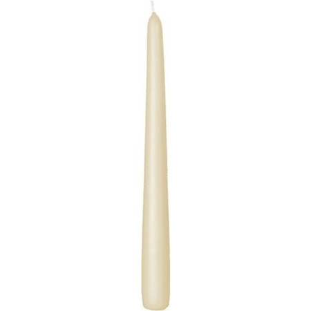 12x Cream white dining candles 25 cm 8 hours
