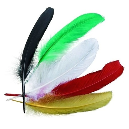 15x Colored indians feathers 16 cm 