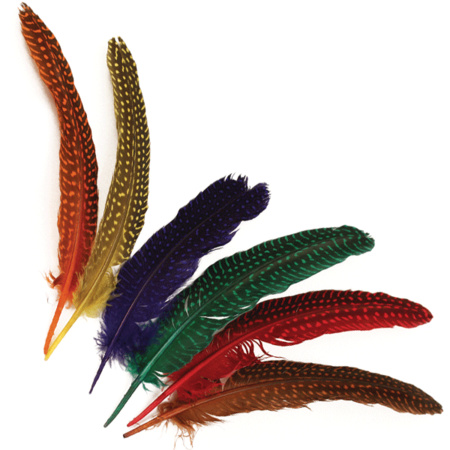 24 pieces feathers with dots 