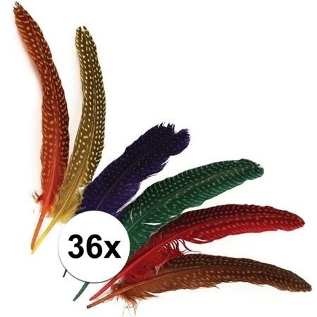 36 pieces feathers with dots 
