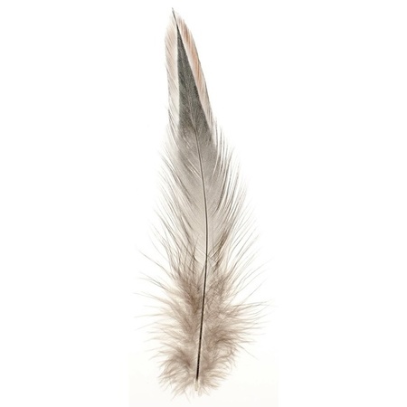 60x Natural decoration feathers