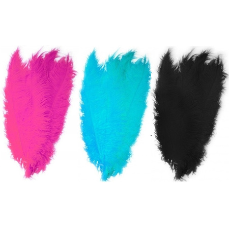 6x large bird feathers 50 cm - 2x black 2x blue and 2x pink
