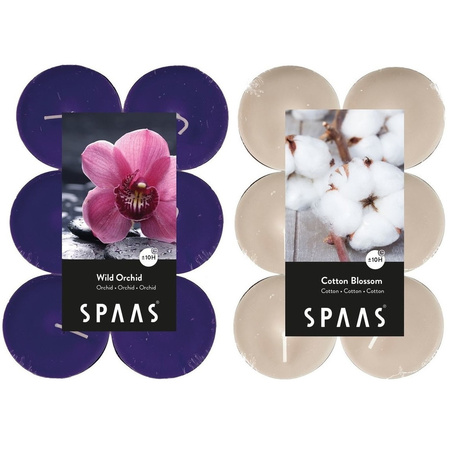 Candles by Spaas geurkaarsen - 24x stuks in 2 geuren Blossom Flowers en Wild Orchid