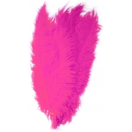 6x large bird feathers 50 cm - 2x black 2x blue and 2x pink