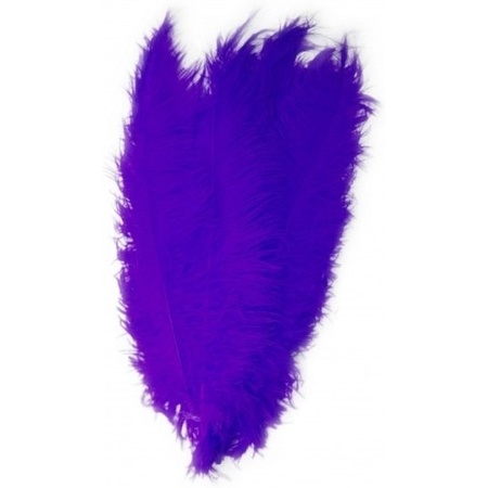 Large purple ostrisch feathers 50 cm