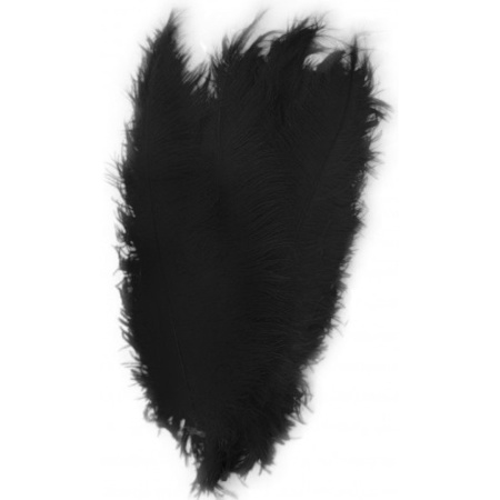 6x large bird feathers 50 cm - 2x black 2x blue and 2x red