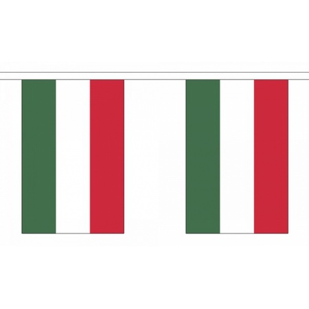 Rechthoekige Hongarije vlaggenlijn