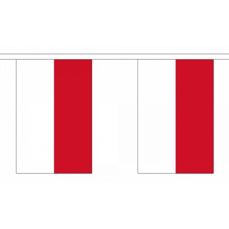 Rechthoekige vlaggenlijn indonesie