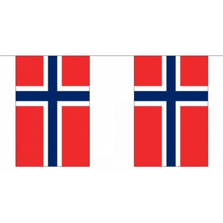 Rechthoekige Noorwegen vlaggenlijn