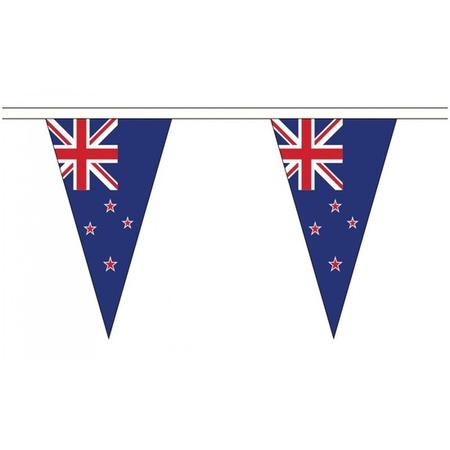 Nieuw Zeeland landen punt vlaggetjes 5 meter