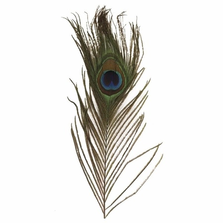 Peacock feathers 9 pieces