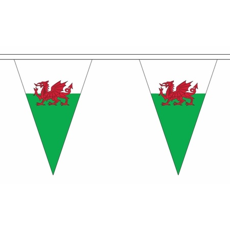 Polyester slinger met Wales vlaggetjes