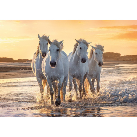 Poster white horses on the beach 84 x 59 cm