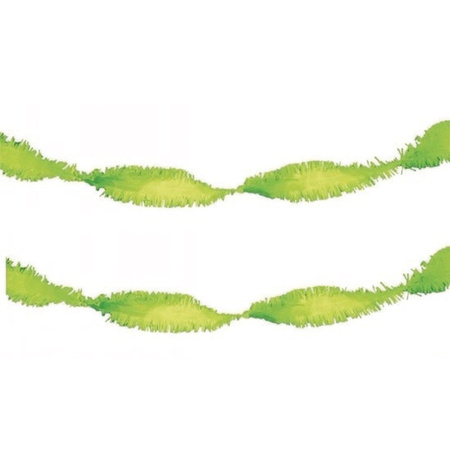 Set of 2x pieces crepe paper garlands lime green 6 meters